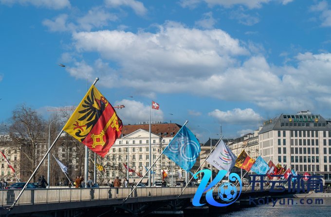 日内瓦勃朗峰大桥上挂起庆祝WTO设置30周年旗子 (来源:WTO)