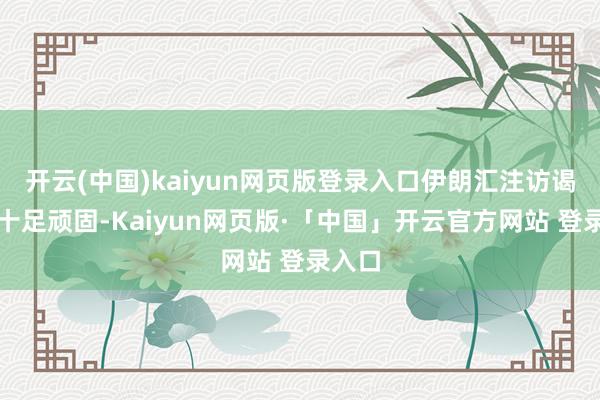 开云(中国)kaiyun网页版登录入口伊朗汇注访谒曾被十足顽固-Kaiyun网页版·「中国」开云官方网站 登录入口
