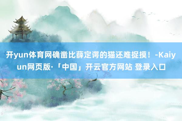 开yun体育网确凿比薛定谔的猫还难捉摸！-Kaiyun网页版·「中国」开云官方网站 登录入口