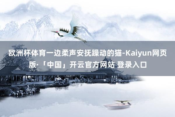 欧洲杯体育一边柔声安抚躁动的猫-Kaiyun网页版·「中国」开云官方网站 登录入口